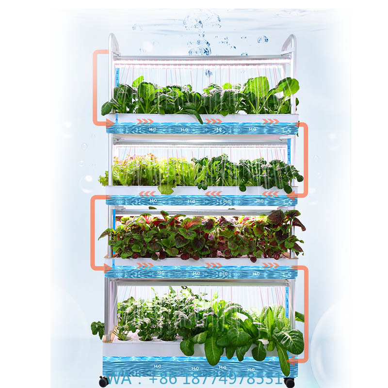 ydroponic plantsysteem Smart H - Home Automation Systems Diy recensie en prijs
